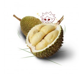 Durian XO
