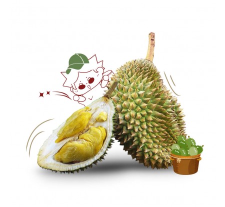 Durian Kampung